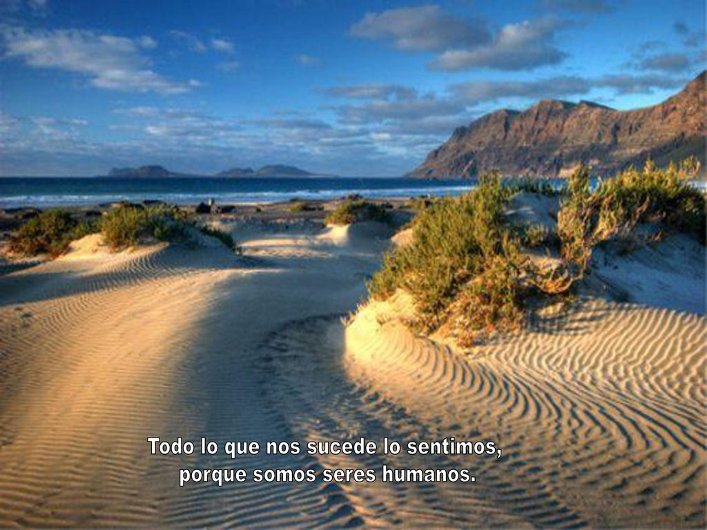 Todo lo que nos sucede lo sentimos, porque somos seres humanos.