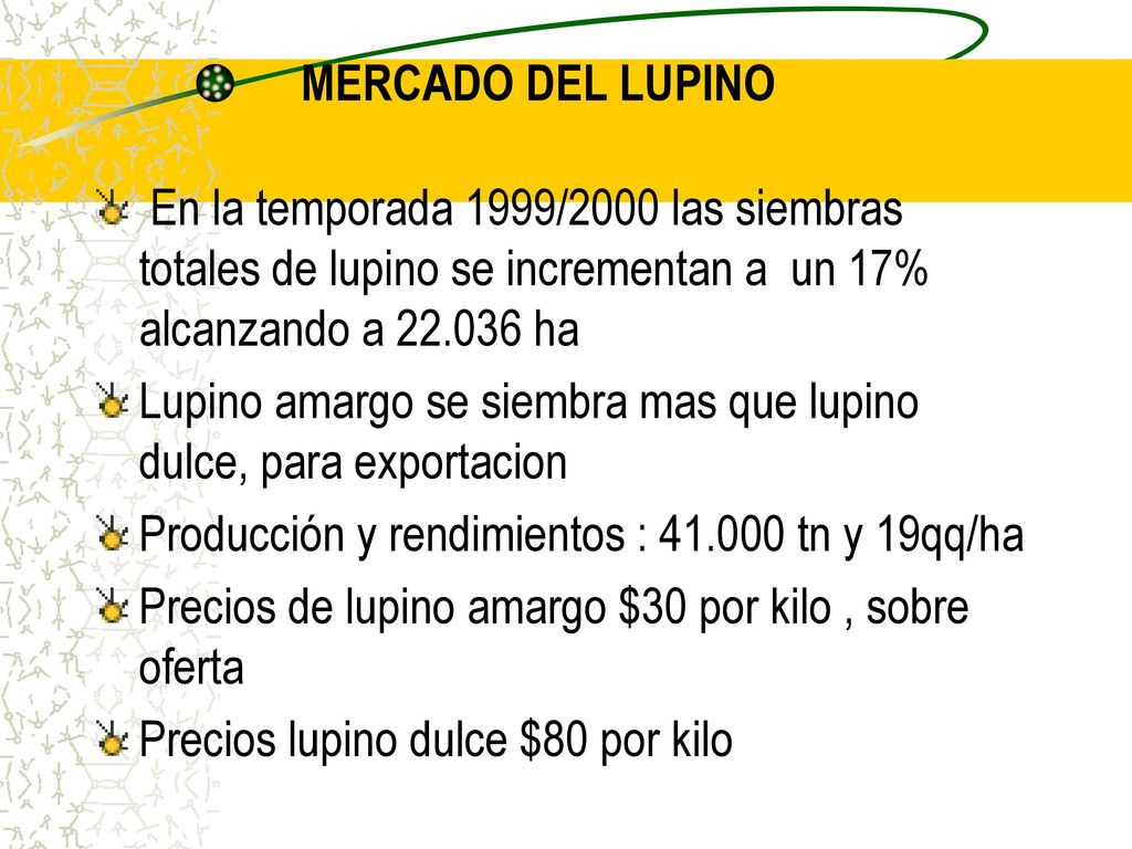 MERCADO DEL LUPINO En la temporada 1999/2000 las siembras totales de lupino se incrementan a un 17% alcanzando a ha.