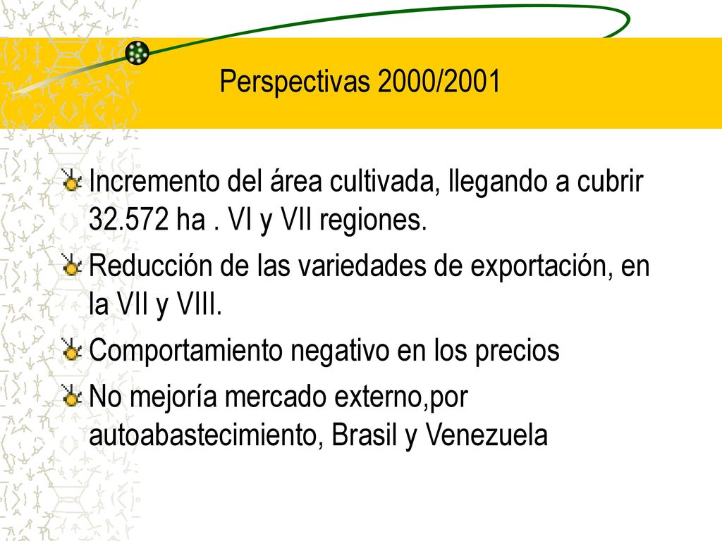 Perspectivas 2000/2001 Incremento del área cultivada, llegando a cubrir ha . VI y VII regiones.