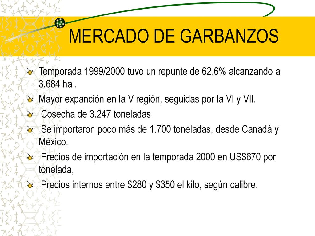 MERCADO DE GARBANZOS Temporada 1999/2000 tuvo un repunte de 62,6% alcanzando a ha . Mayor expanción en la V región, seguidas por la VI y VII.