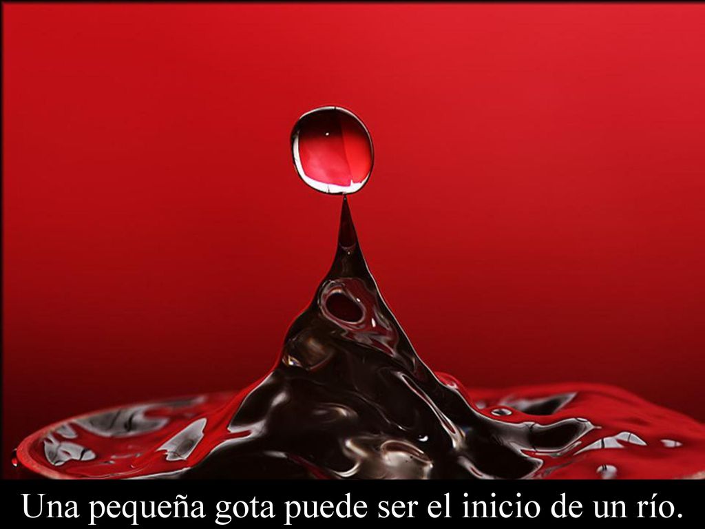 Una pequeña gota puede ser el inicio de un río.