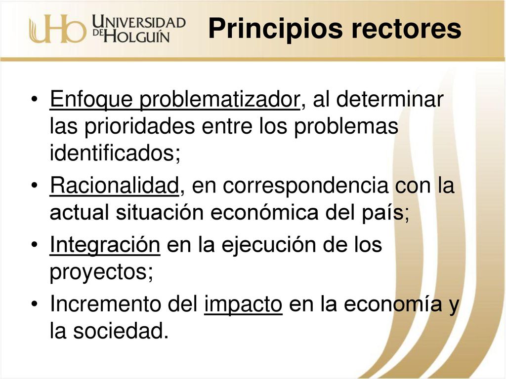 Principios rectores Enfoque problematizador, al determinar las prioridades entre los problemas identificados;
