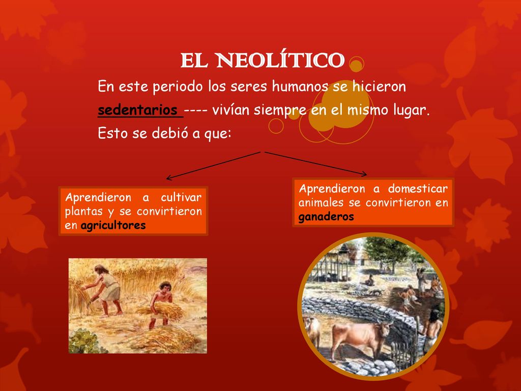 EL NEOLÍTICO En este periodo los seres humanos se hicieron