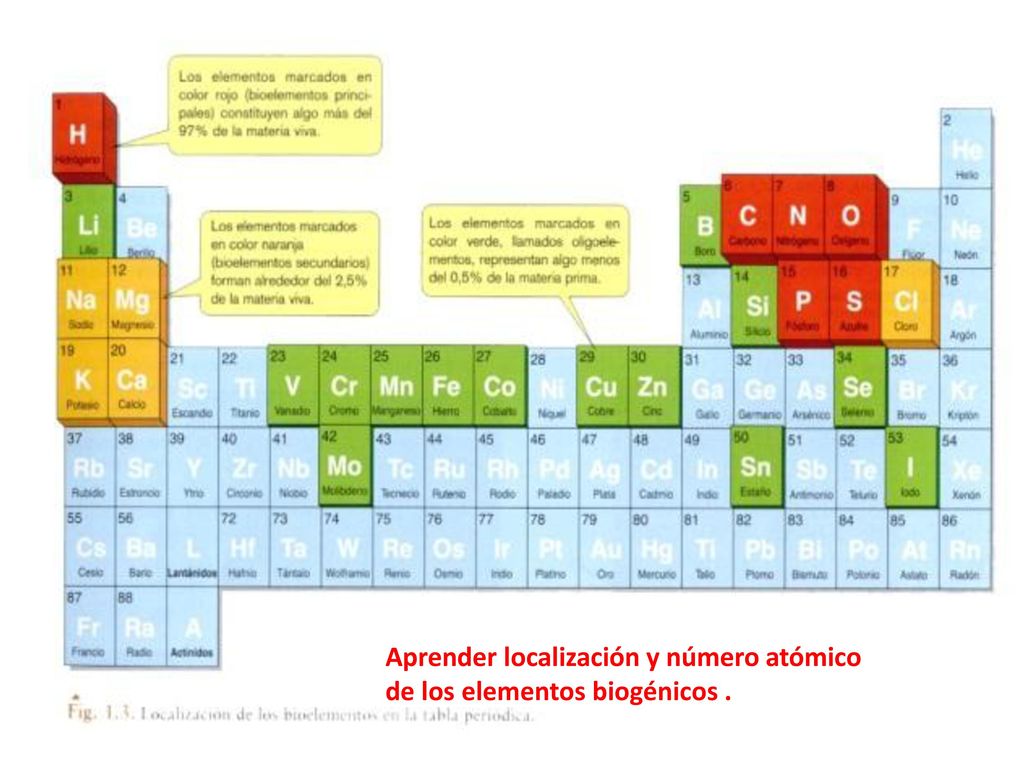 Aprender localización y número atómico de los elementos biogénicos .