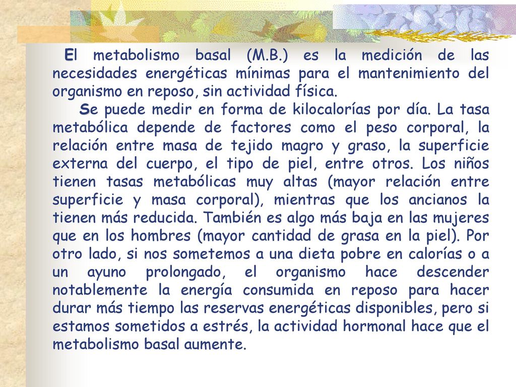 Texto de escritura incrementar el metabolismo. Concepto Significado acelera la descomposición de los alimentos la ingesta de calorías de forma ovalada de color blanco con rayas horizontales Fotografía de stock - Alamy