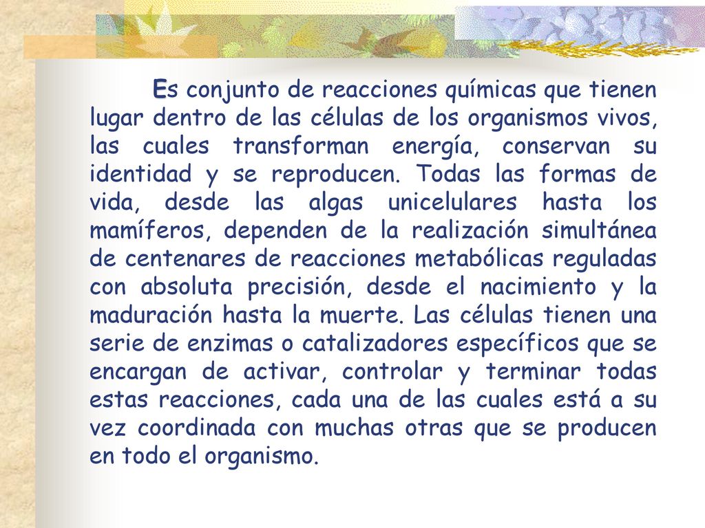 Es conjunto de reacciones químicas que tienen lugar dentro de las células de los organismos vivos, las cuales transforman energía, conservan su identidad y se reproducen.