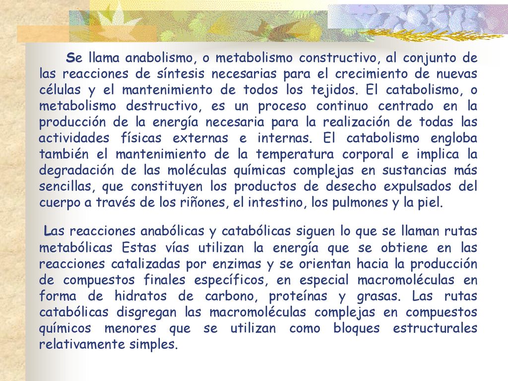 Se llama anabolismo, o metabolismo constructivo, al conjunto de las reacciones de síntesis necesarias para el crecimiento de nuevas células y el mantenimiento de todos los tejidos. El catabolismo, o metabolismo destructivo, es un proceso continuo centrado en la producción de la energía necesaria para la realización de todas las actividades físicas externas e internas. El catabolismo engloba también el mantenimiento de la temperatura corporal e implica la degradación de las moléculas químicas complejas en sustancias más sencillas, que constituyen los productos de desecho expulsados del cuerpo a través de los riñones, el intestino, los pulmones y la piel.