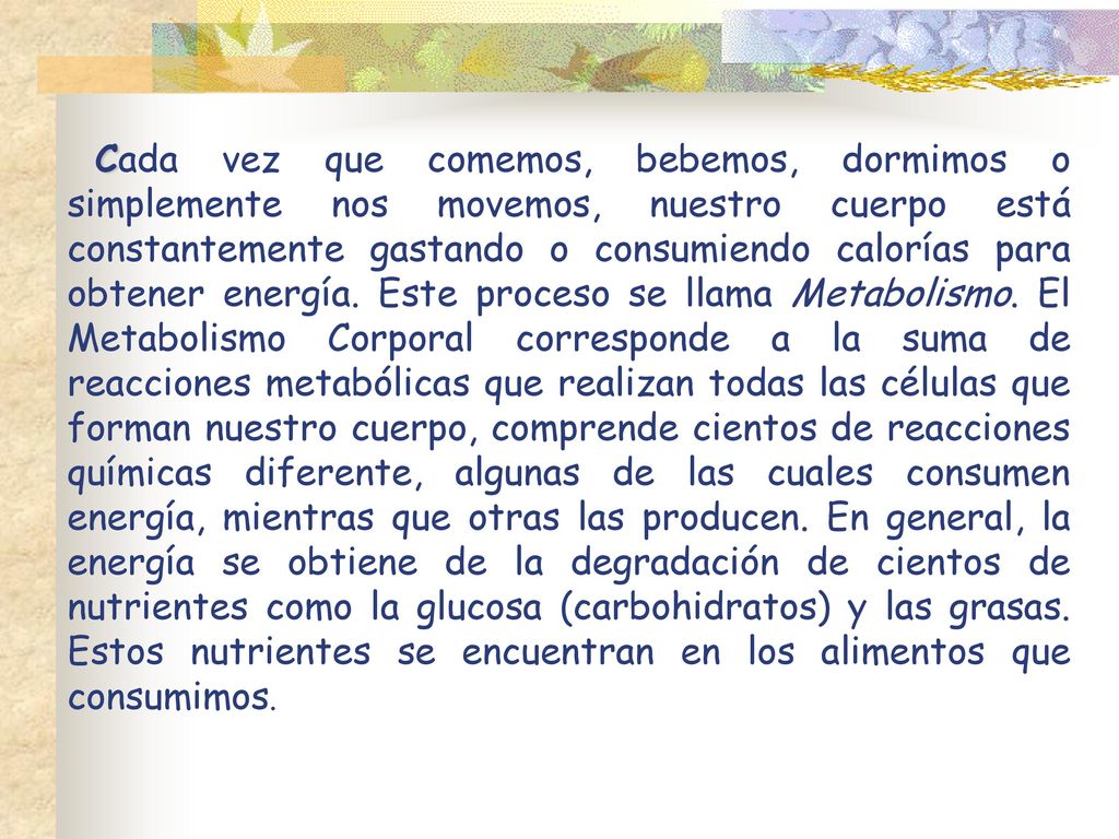 Cada vez que comemos, bebemos, dormimos o simplemente nos movemos, nuestro cuerpo está constantemente gastando o consumiendo calorías para obtener energía.