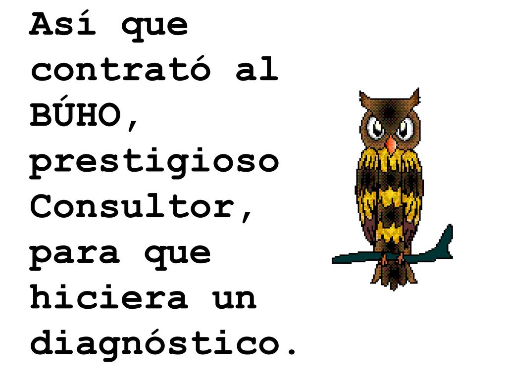Así que contrató al BÚHO, prestigioso Consultor, para que hiciera un diagnóstico.