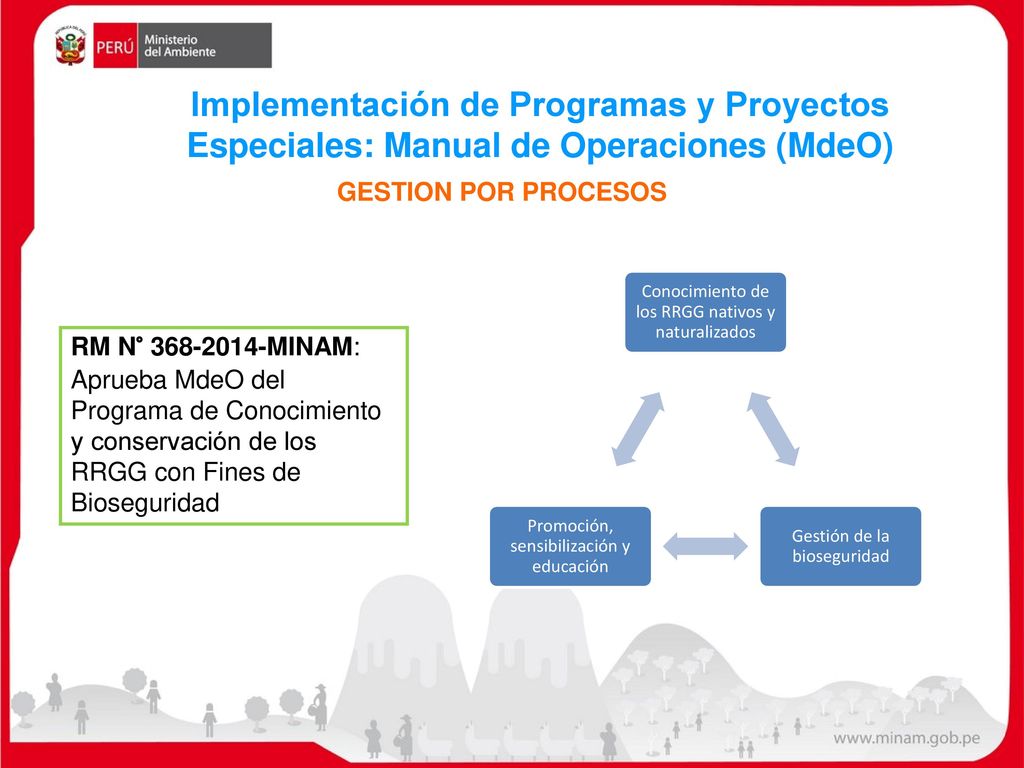 Implementación de Programas y Proyectos Especiales: Manual de Operaciones (MdeO)
