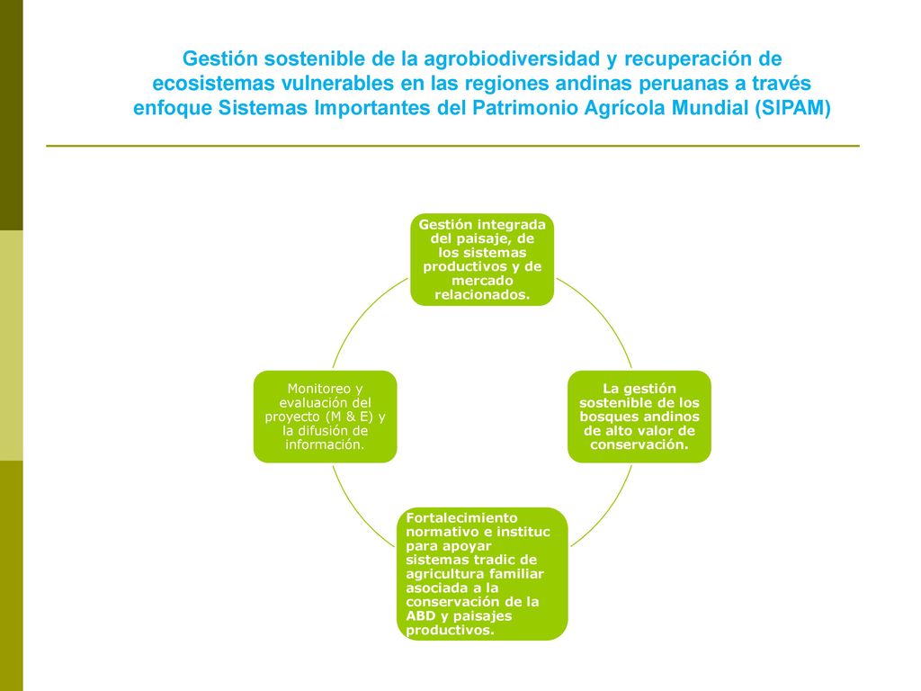 Gestión sostenible de la agrobiodiversidad y recuperación de ecosistemas vulnerables en las regiones andinas peruanas a través enfoque Sistemas Importantes del Patrimonio Agrícola Mundial (SIPAM)