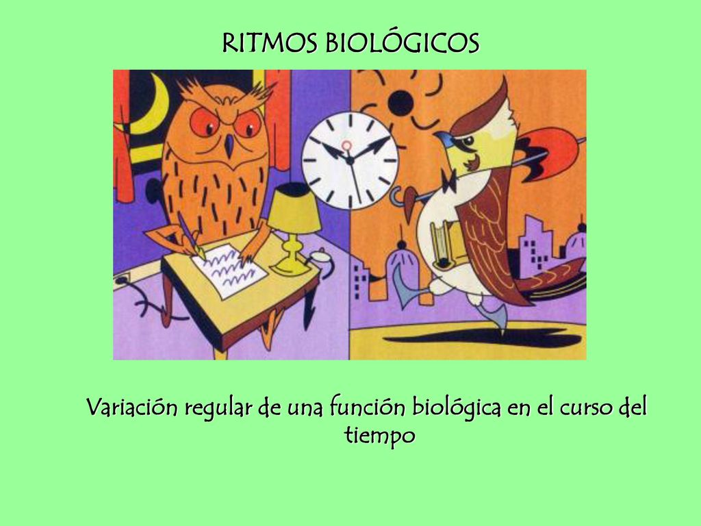 Variación regular de una función biológica en el curso del tiempo