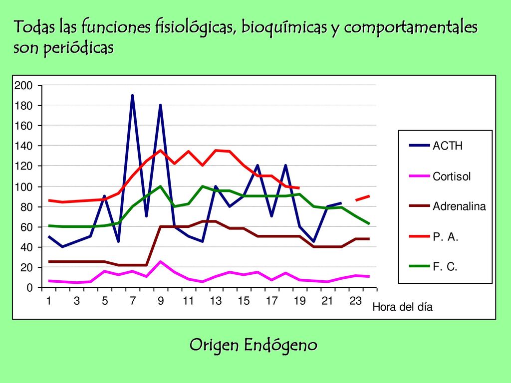 Todas las funciones fisiológicas, bioquímicas y comportamentales son periódicas