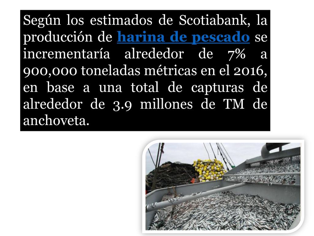 Según los estimados de Scotiabank, la producción de harina de pescado se incrementaría alrededor de 7% a 900,000 toneladas métricas en el 2016, en base a una total de capturas de alrededor de 3.9 millones de TM de anchoveta.