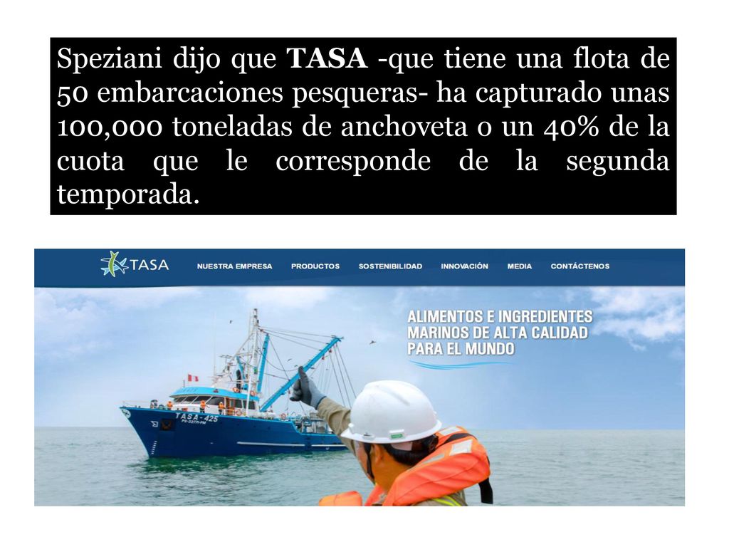 Speziani dijo que TASA -que tiene una flota de 50 embarcaciones pesqueras- ha capturado unas 100,000 toneladas de anchoveta o un 40% de la cuota que le corresponde de la segunda temporada.