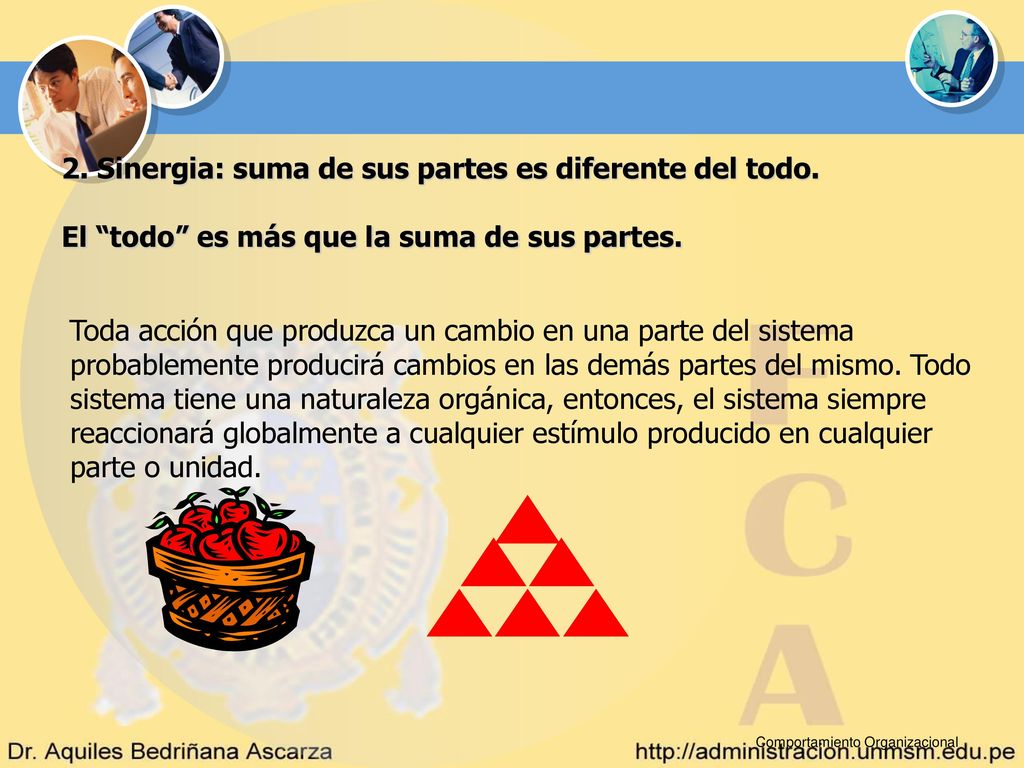 2. Sinergia: suma de sus partes es diferente del todo.