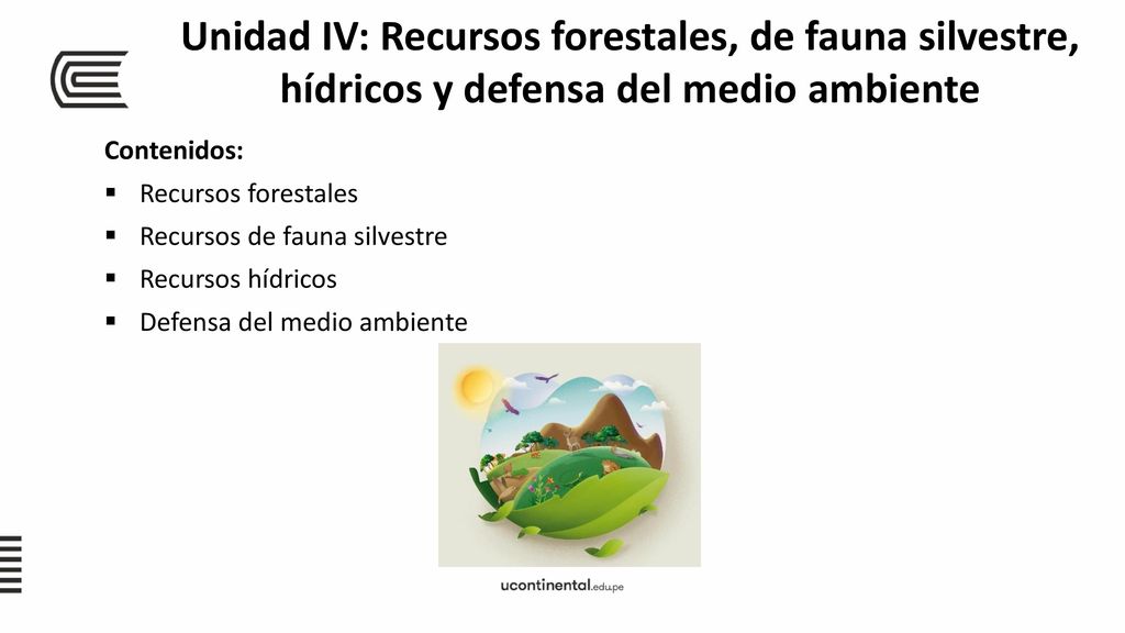 Unidad IV: Recursos forestales, de fauna silvestre, hídricos y defensa del medio ambiente