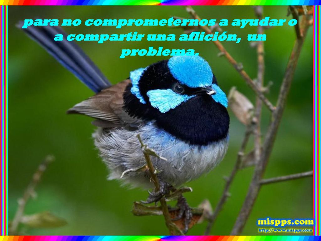 para no comprometernos a ayudar o a compartir una aflición, un problema.