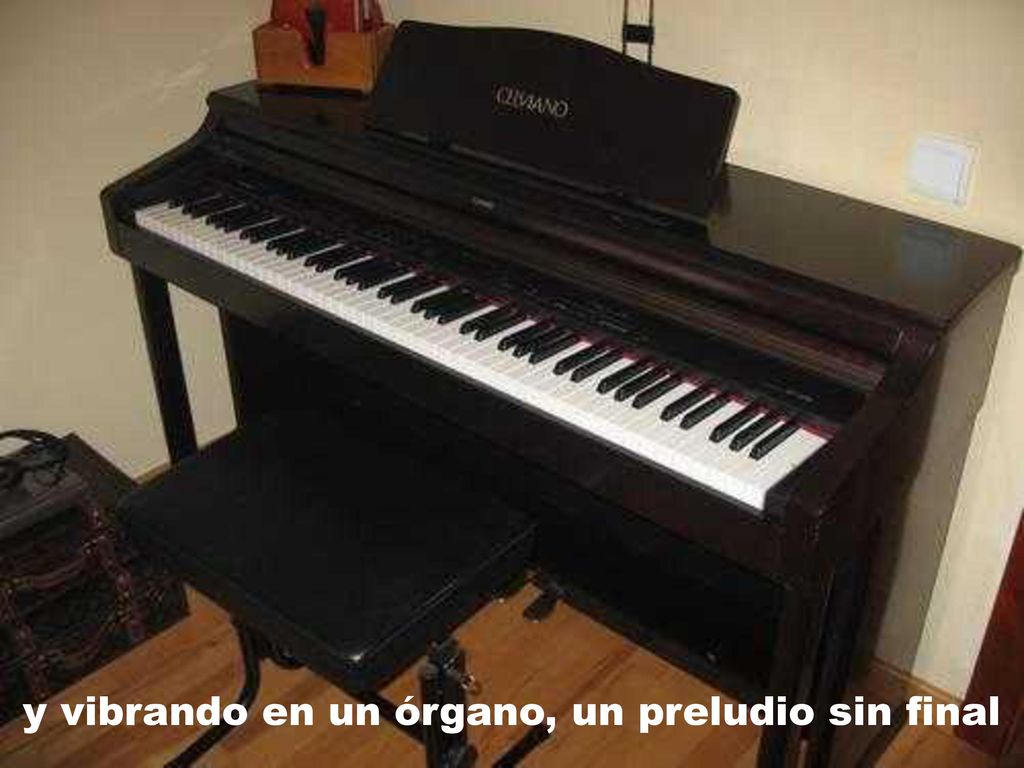 y vibrando en un órgano, un preludio sin final