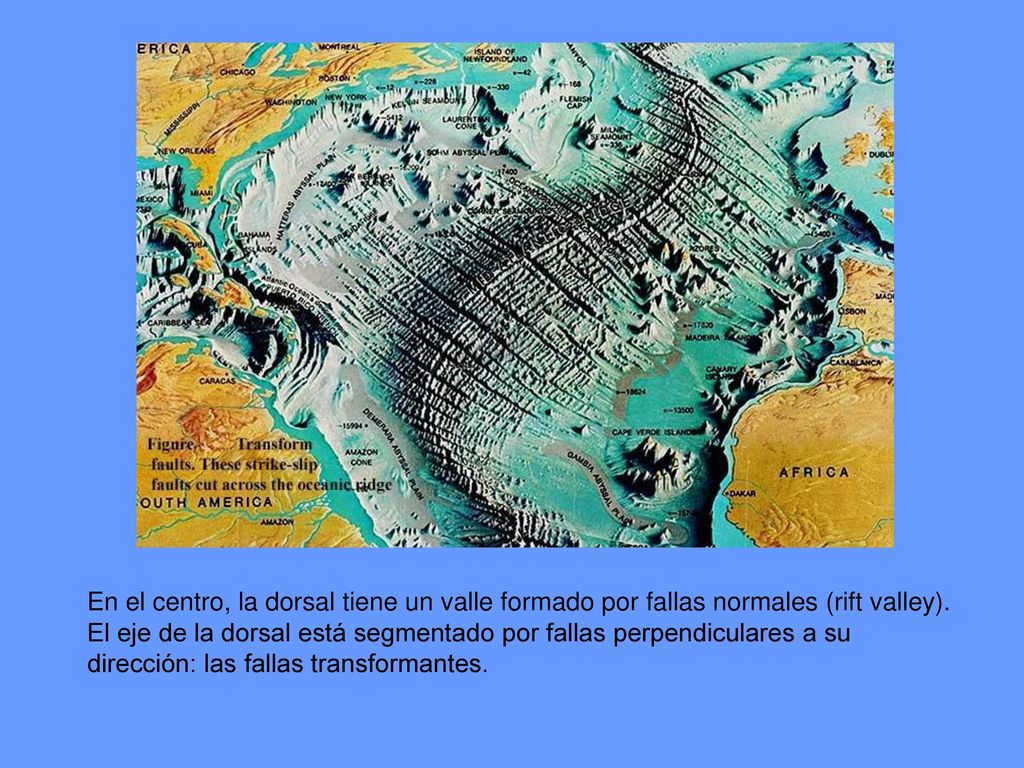 En el centro, la dorsal tiene un valle formado por fallas normales (rift valley).