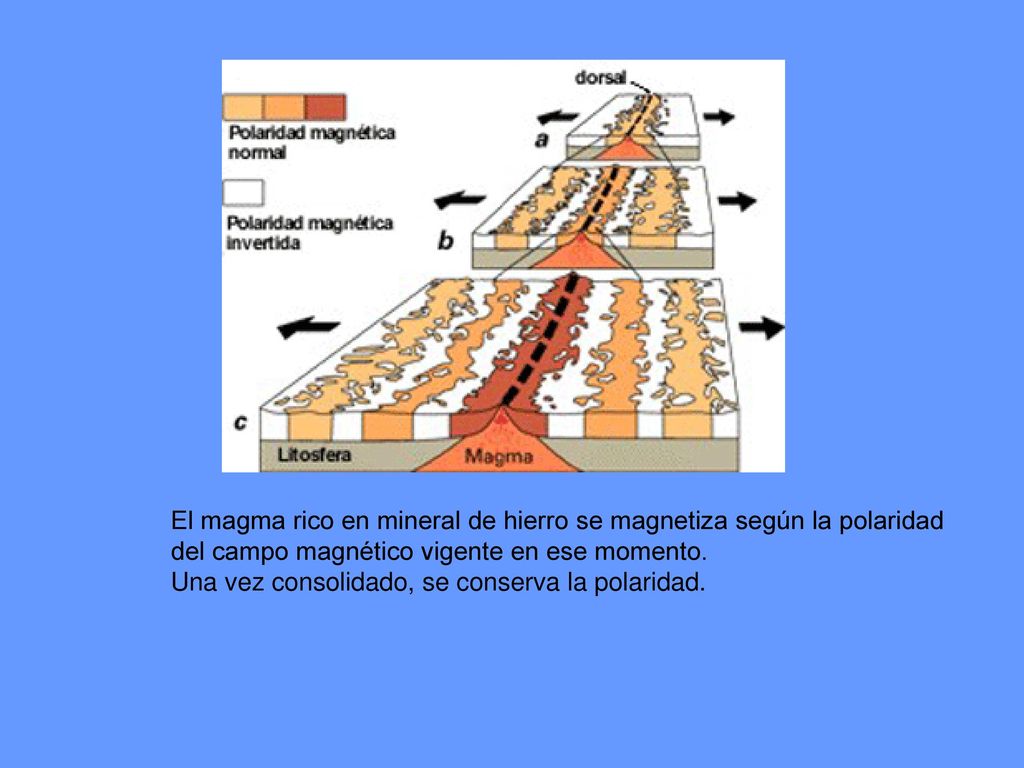 El magma rico en mineral de hierro se magnetiza según la polaridad