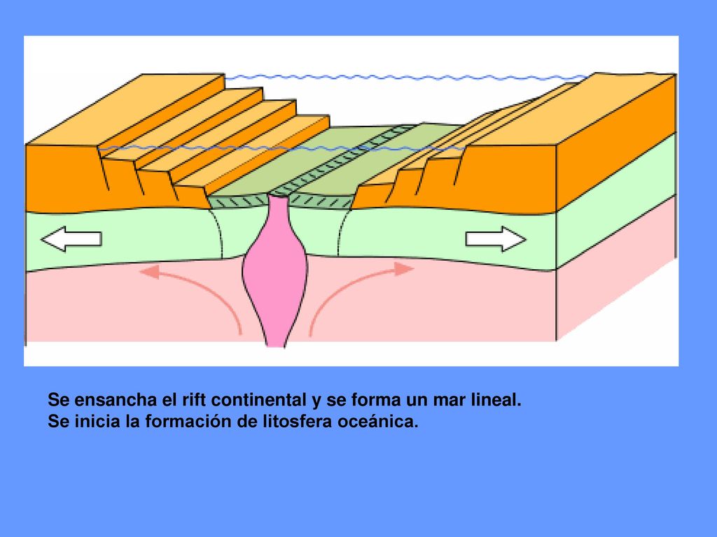 Se ensancha el rift continental y se forma un mar lineal.