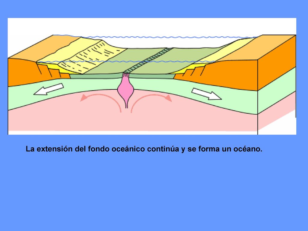 La extensión del fondo oceánico continúa y se forma un océano.