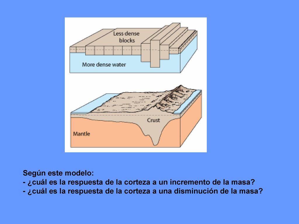 Según este modelo: - ¿cuál es la respuesta de la corteza a un incremento de la masa