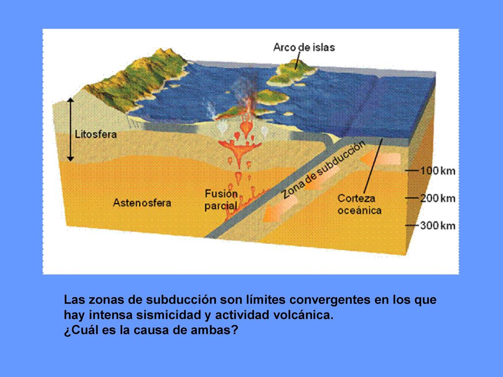 Las zonas de subducción son límites convergentes en los que