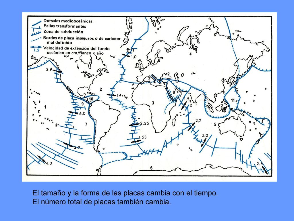 El tamaño y la forma de las placas cambia con el tiempo.