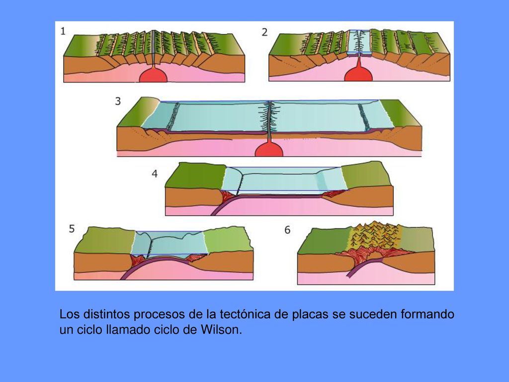 Los distintos procesos de la tectónica de placas se suceden formando