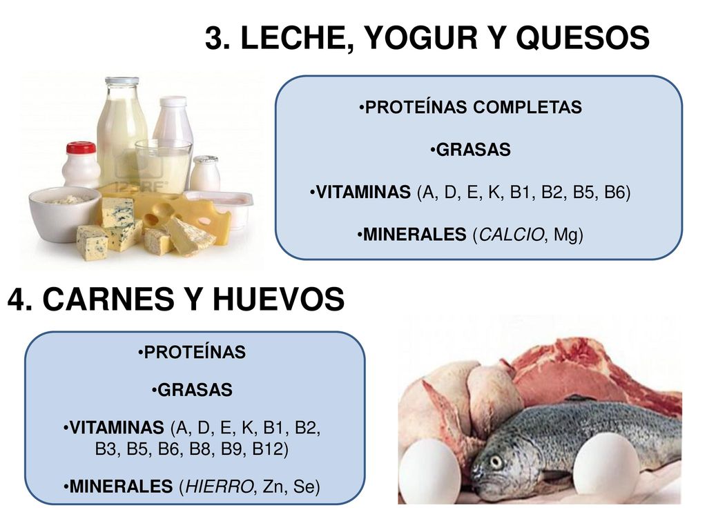 3. LECHE, YOGUR Y QUESOS 4. CARNES Y HUEVOS PROTEÍNAS COMPLETAS GRASAS