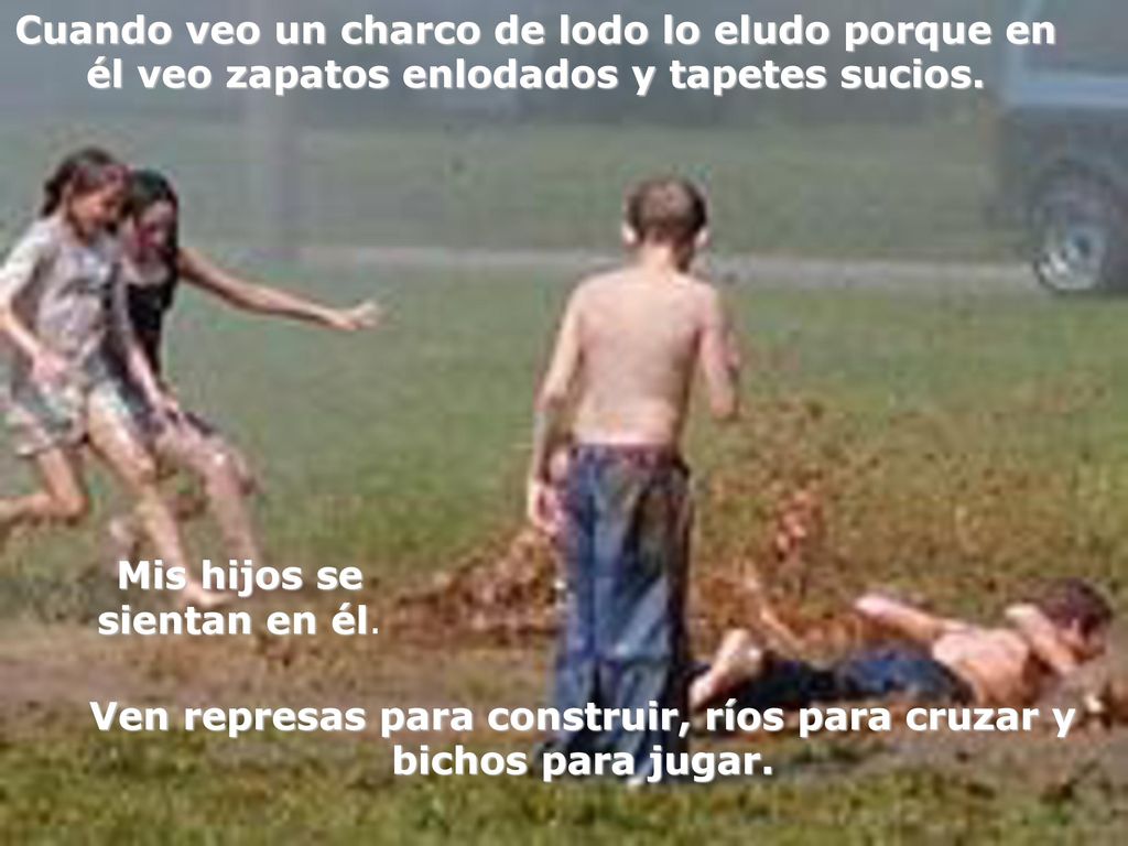 Ven represas para construir, ríos para cruzar y bichos para jugar.