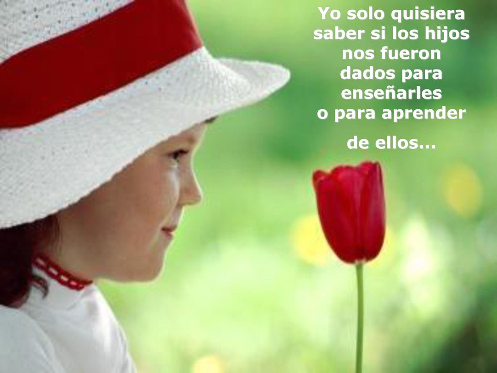 Yo solo quisiera saber si los hijos nos fueron dados para enseñarles o para aprender