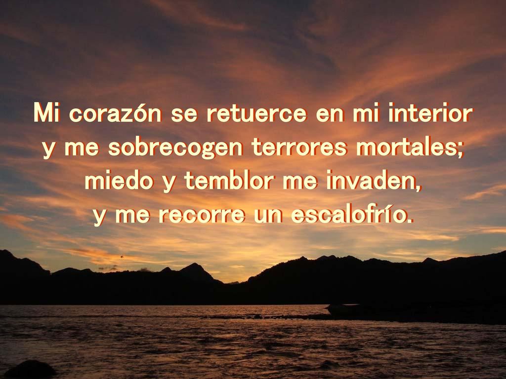 Mi corazón se retuerce en mi interior