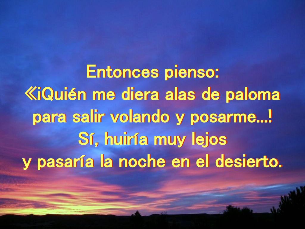 «¡Quién me diera alas de paloma para salir volando y posarme...!