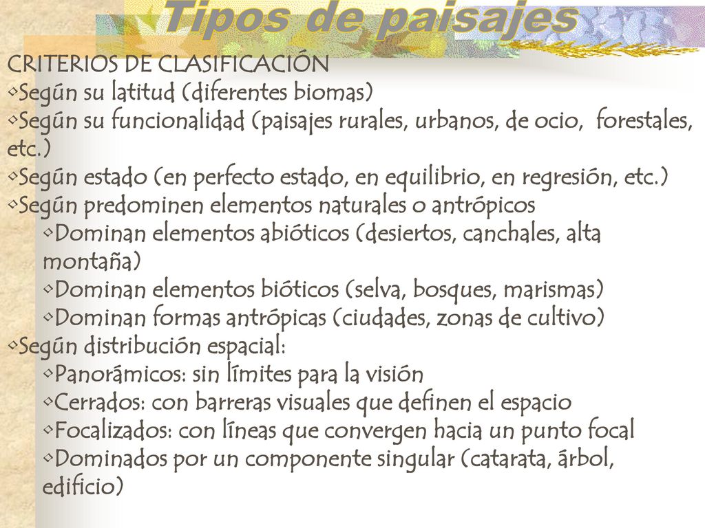 Tipos de paisajes CRITERIOS DE CLASIFICACIÓN