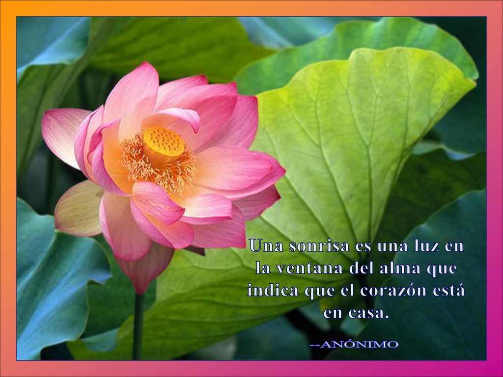 Una sonrisa es una luz en indica que el corazón está