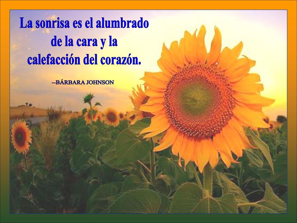 La sonrisa es el alumbrado calefacción del corazón.