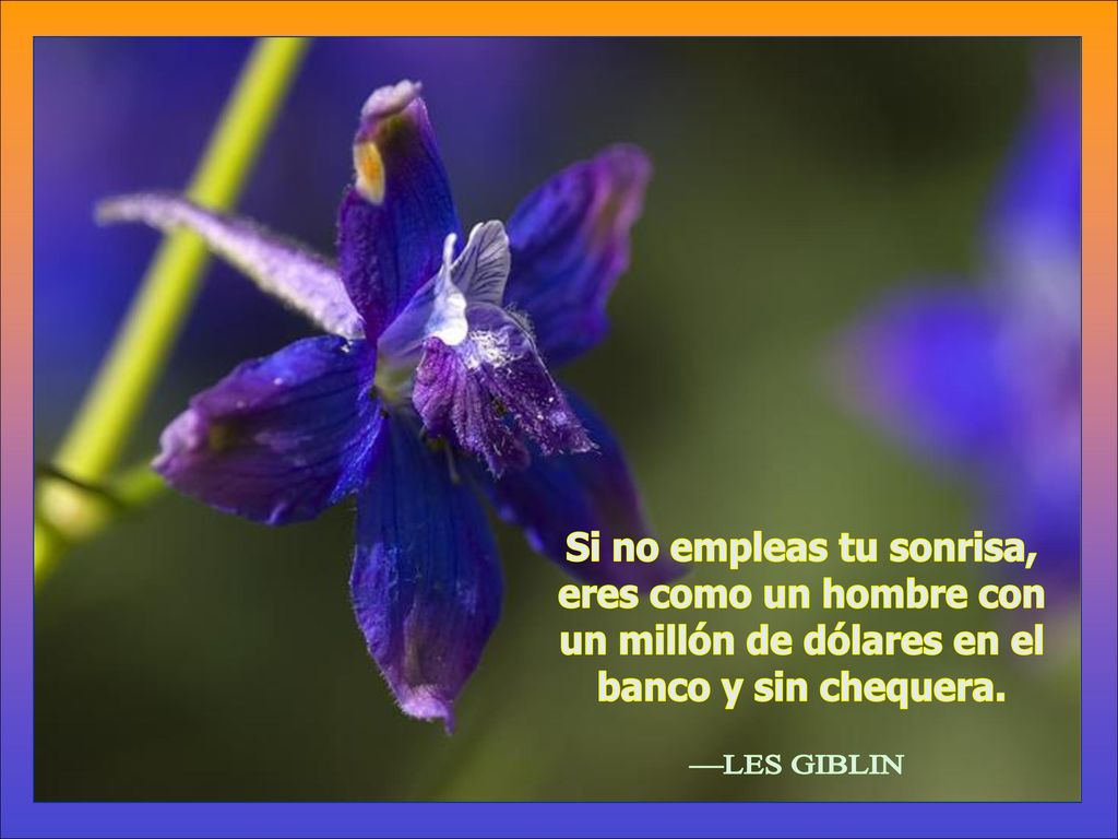 Si no empleas tu sonrisa, un millón de dólares en el