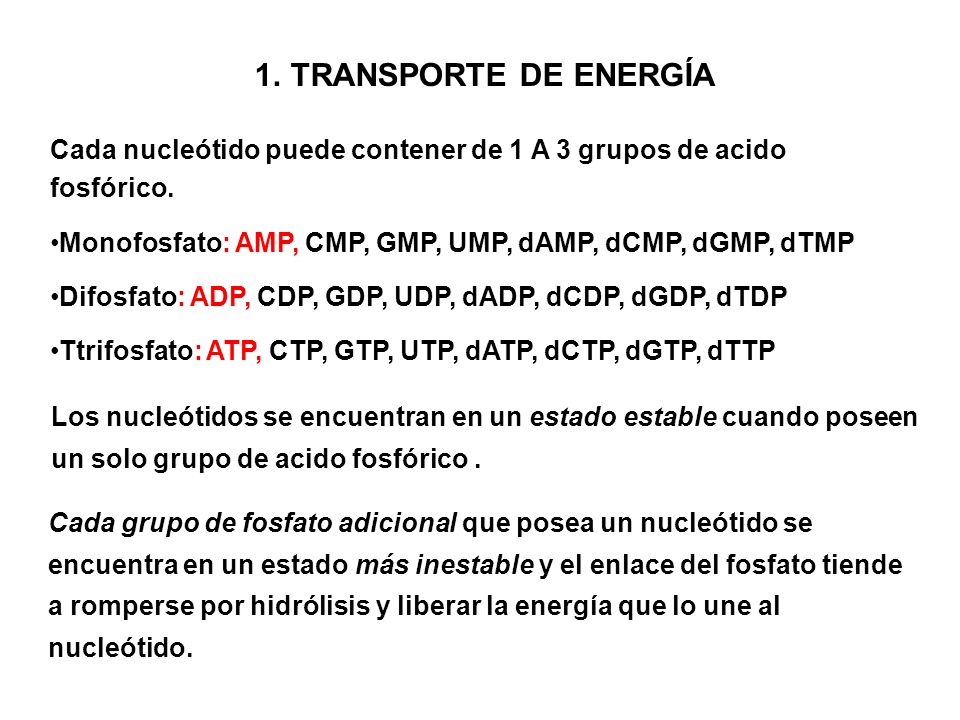TRANSPORTE DE ENERGÍA Cada nucleótido puede contener de 1 A 3 grupos de acido fosfórico. Monofosfato: AMP, CMP, GMP, UMP, dAMP, dCMP, dGMP, dTMP.