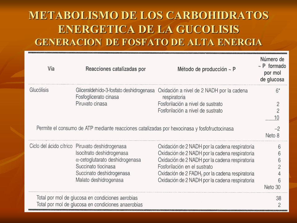 METABOLISMO DE LOS CARBOHIDRATOS ENERGETICA DE LA GUCOLISIS GENERACION DE FOSFATO DE ALTA ENERGIA