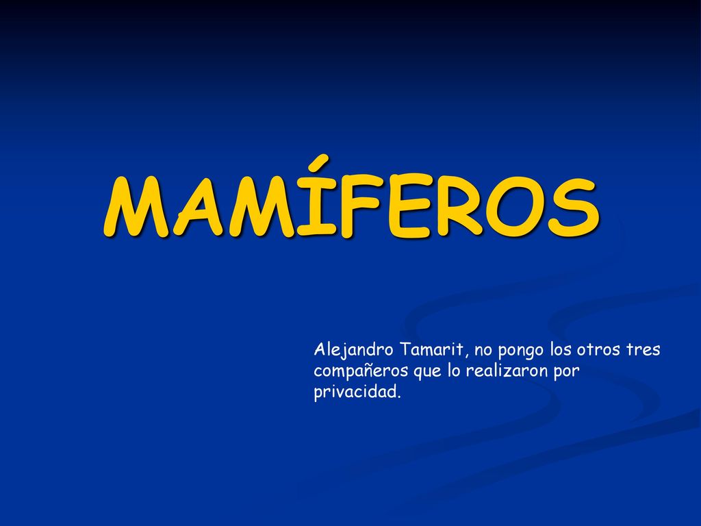 MAMÍFEROS Alejandro Tamarit, no pongo los otros tres compañeros que lo realizaron por privacidad.