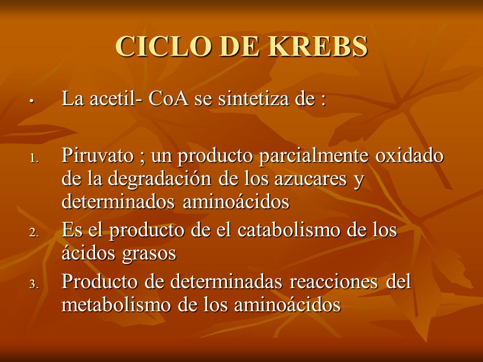 CICLO DE KREBS La acetil- CoA se sintetiza de :