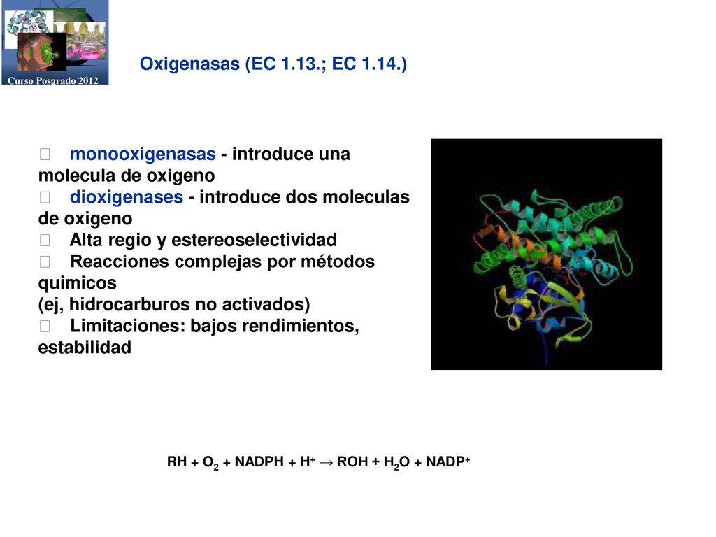 RH + O2 + NADPH + H+ → ROH + H2O + NADP+