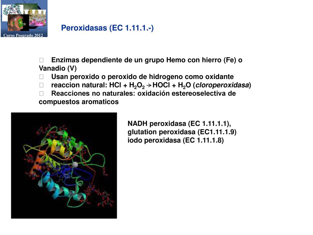 Curso Posgrado 2012 Peroxidasas (EC ) 􀂃 Enzimas dependiente de un grupo Hemo con hierro (Fe) o Vanadio (V)