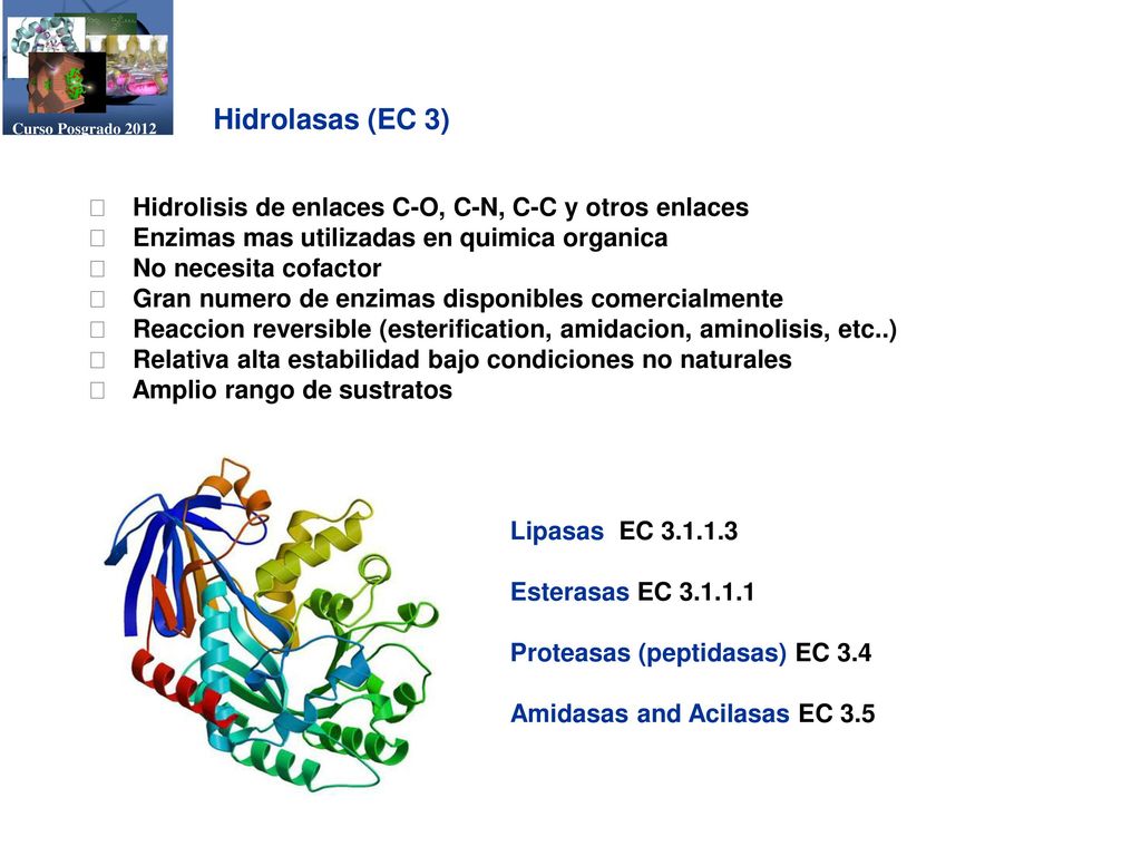 Curso Posgrado 2012 Hidrolasas (EC 3) 􀂉 Hidrolisis de enlaces C-O, C-N, C-C y otros enlaces. 􀂉 Enzimas mas utilizadas en quimica organica.