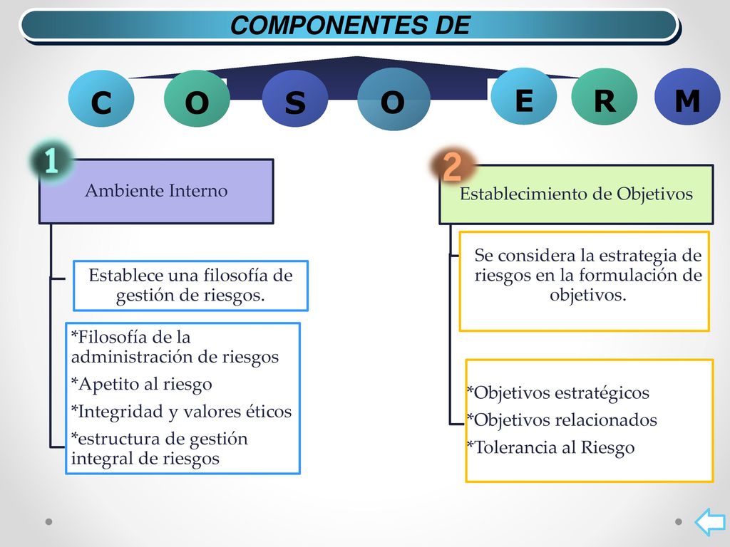 C O S E R M COMPONENTES DE Ambiente Interno