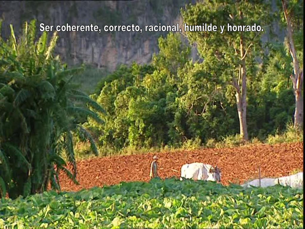 Ser coherente, correcto, racional, humilde y honrado.