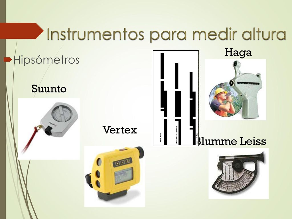 MENSURA FORESTAL DASOMETRÍA. - ppt descargar